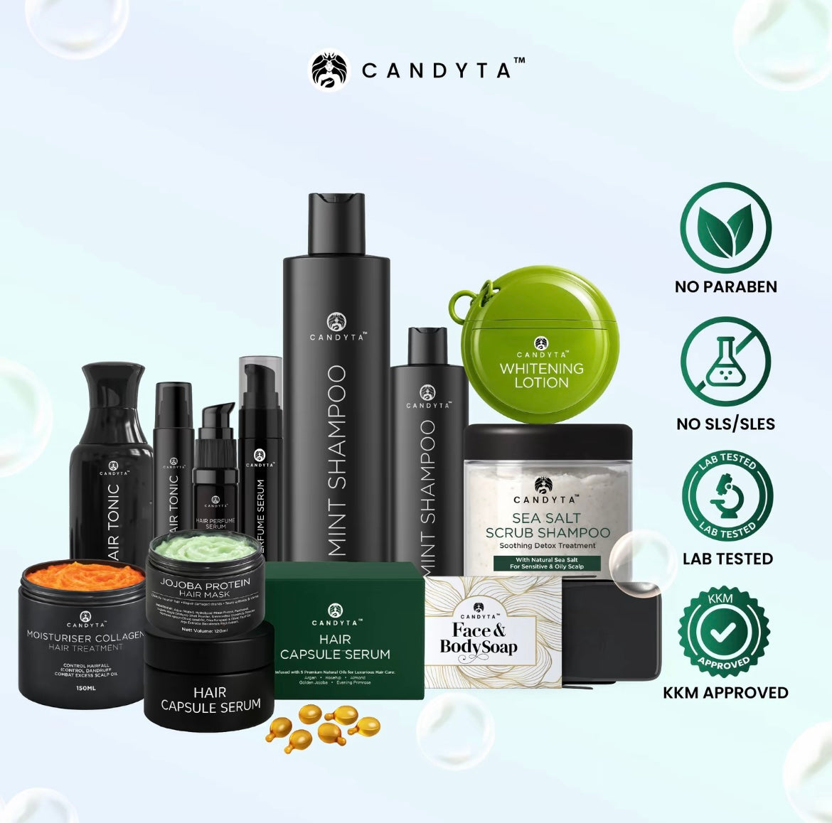 Set Holiday Kit