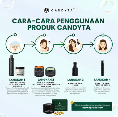 Set Holiday Kit