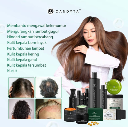 Set Holiday Kit