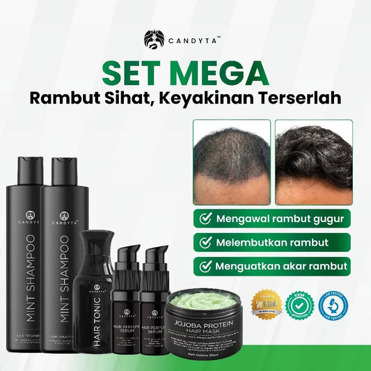 SET MEGA