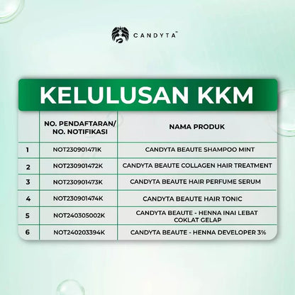 Set Holiday Kit